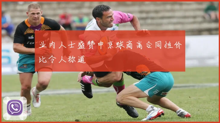 业内人士盛赞申京球商高合同性价比令人称道